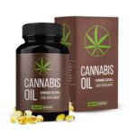 cannabis oil prezzo opinioni prospettiva forum